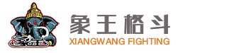 中健象王格斗俱乐部